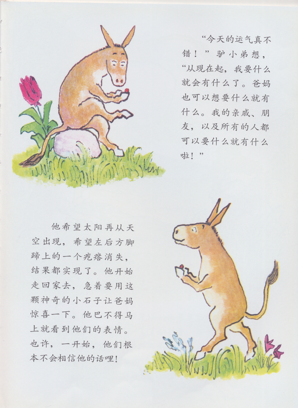 驴小弟变石头 (07),绘本,绘本故事,绘本阅读,故事书,童书,图画书,课外阅读